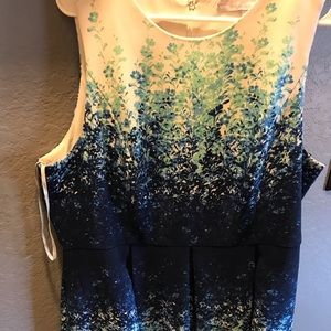 Beautiful DressBarn Carmen Work Dress